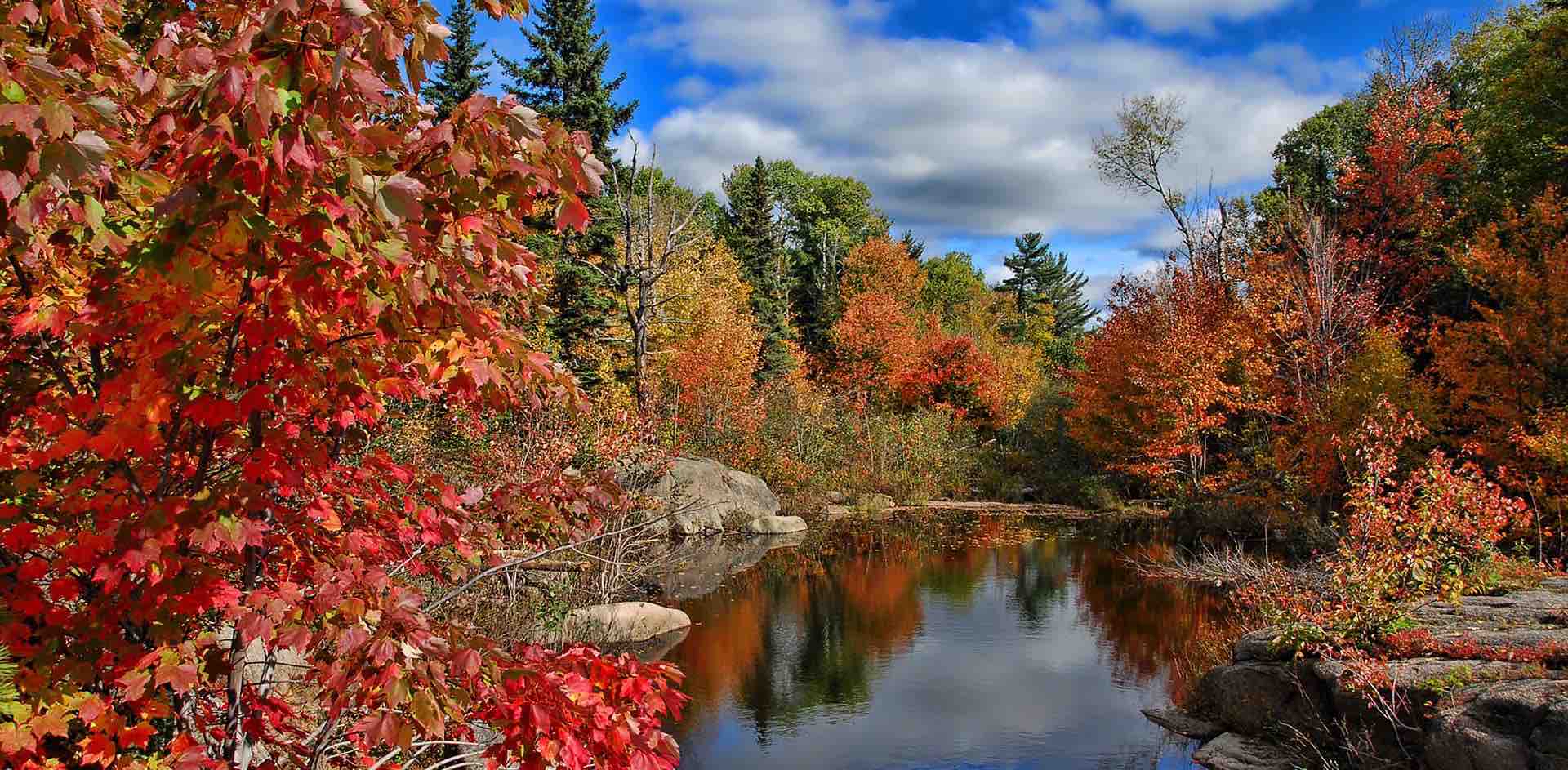 challenge background