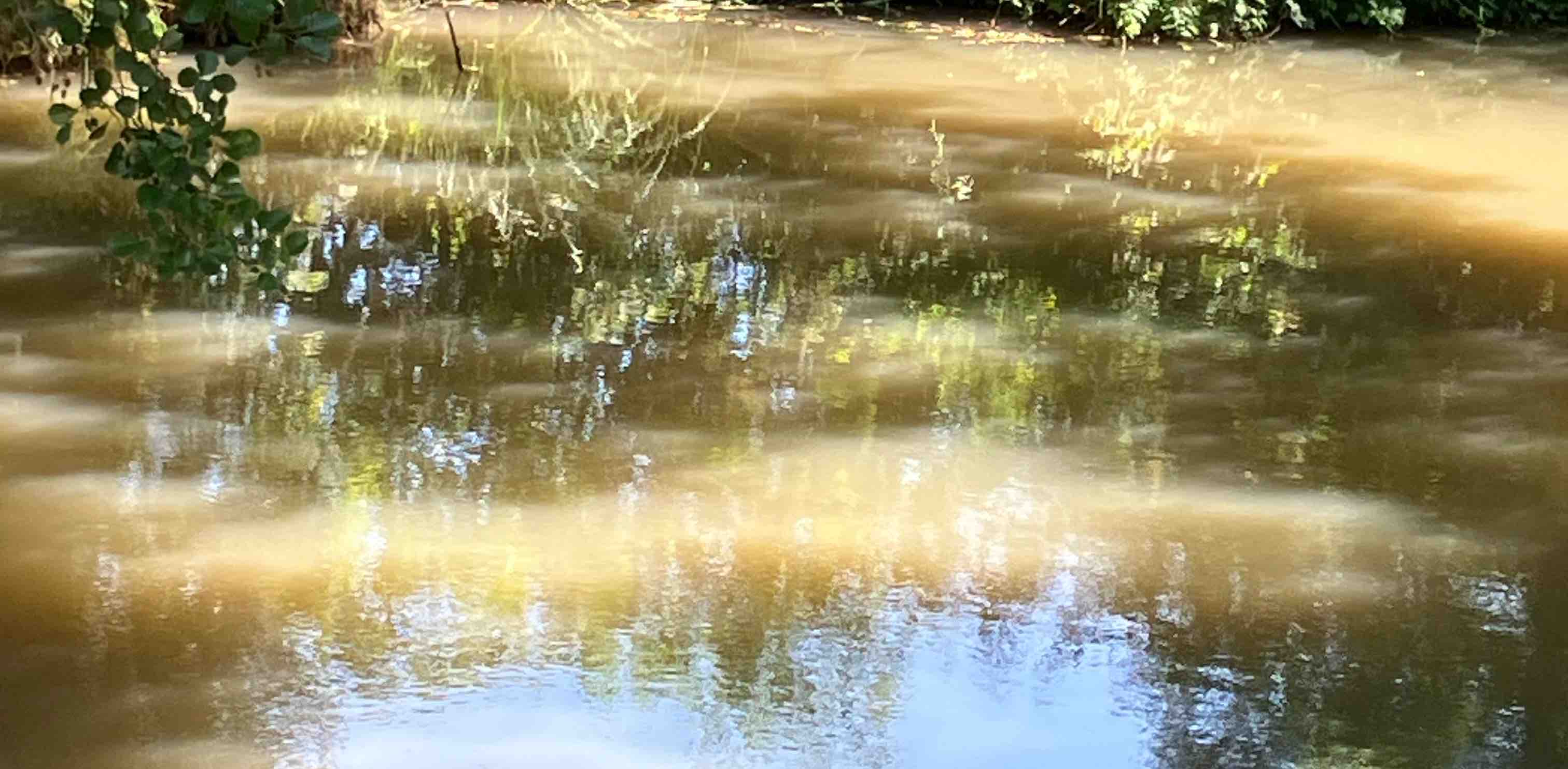 challenge background