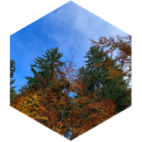 ๐โ๐ซ๐ COULEUR DโAUTOMNE ๐๐ icon