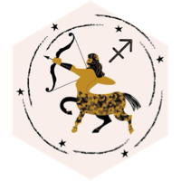 🌝🏹3000🏹🌝 SAGITTAIRE 🌝✨ icon