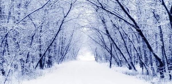 challenge background