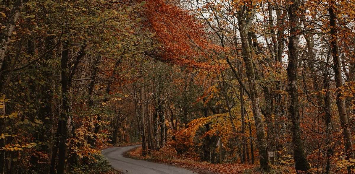 challenge background