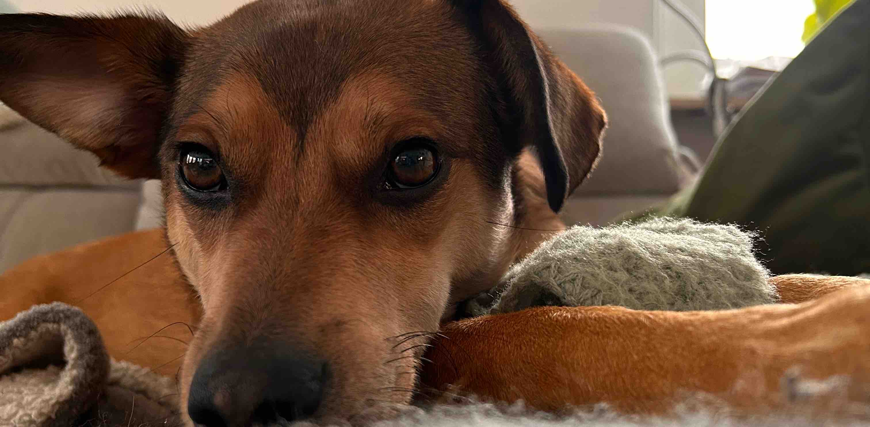 challenge background