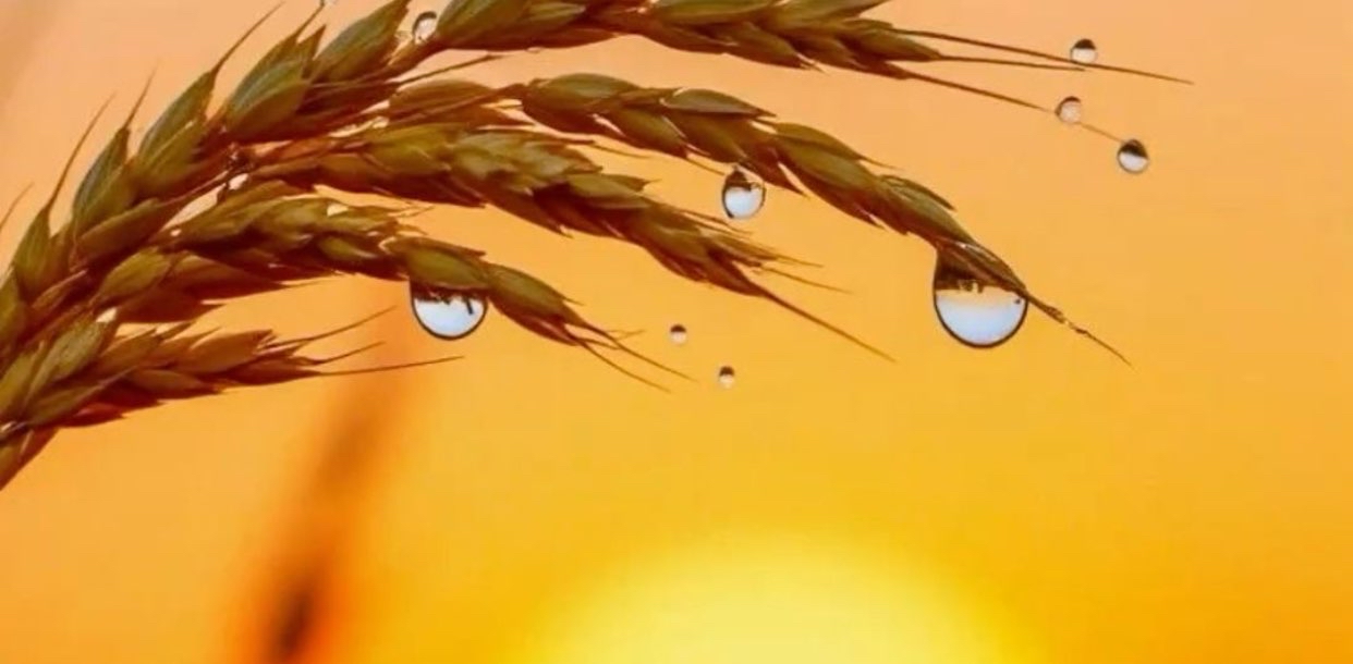 challenge background