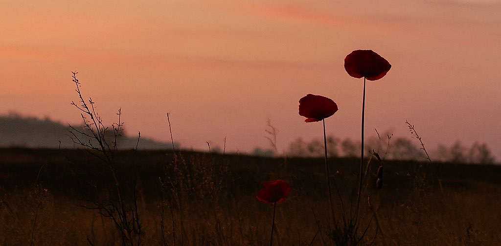 challenge background