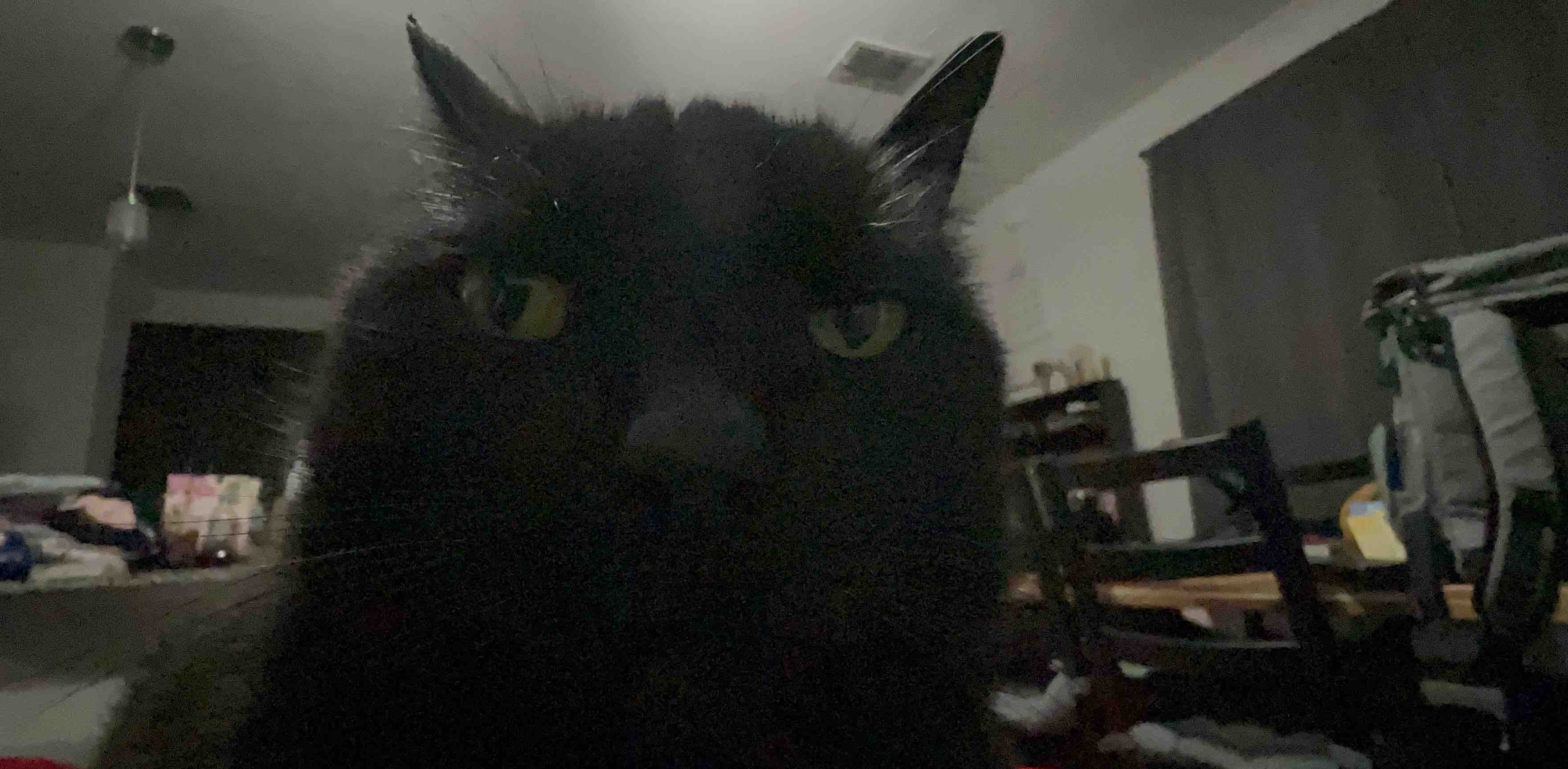 challenge background