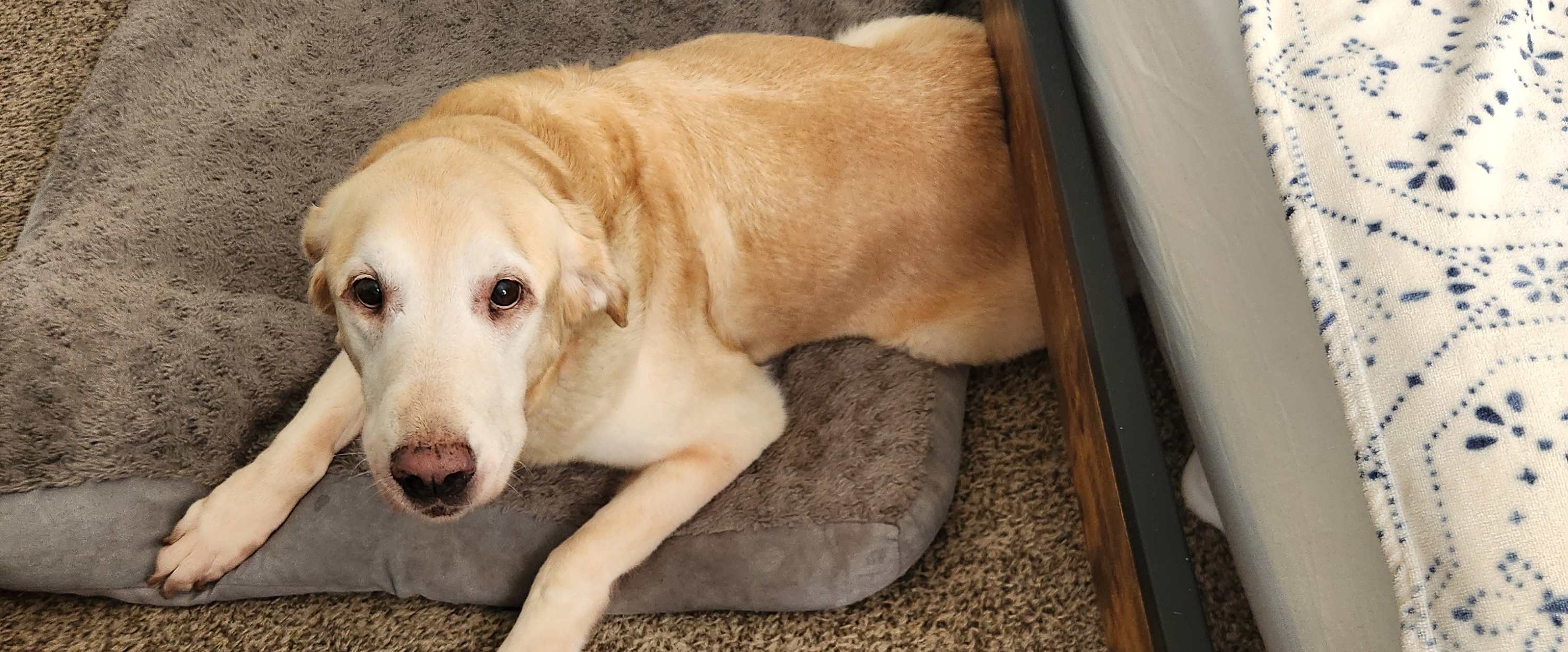 challenge background