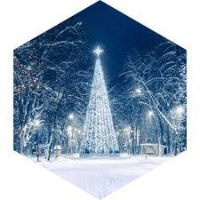 December 3 km Step Estimate icon