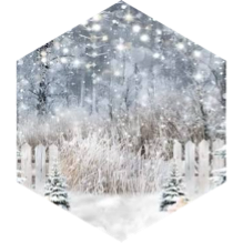 Winter 3km GPS Race icon