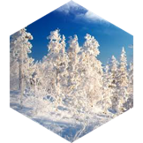 Winter Marathon GPS Race icon