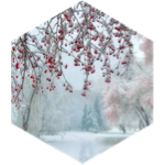 Winter 5km GPS Race icon