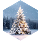 December 10 km Step Estimate icon