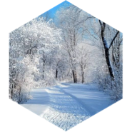 Winter 12km GPS Race icon