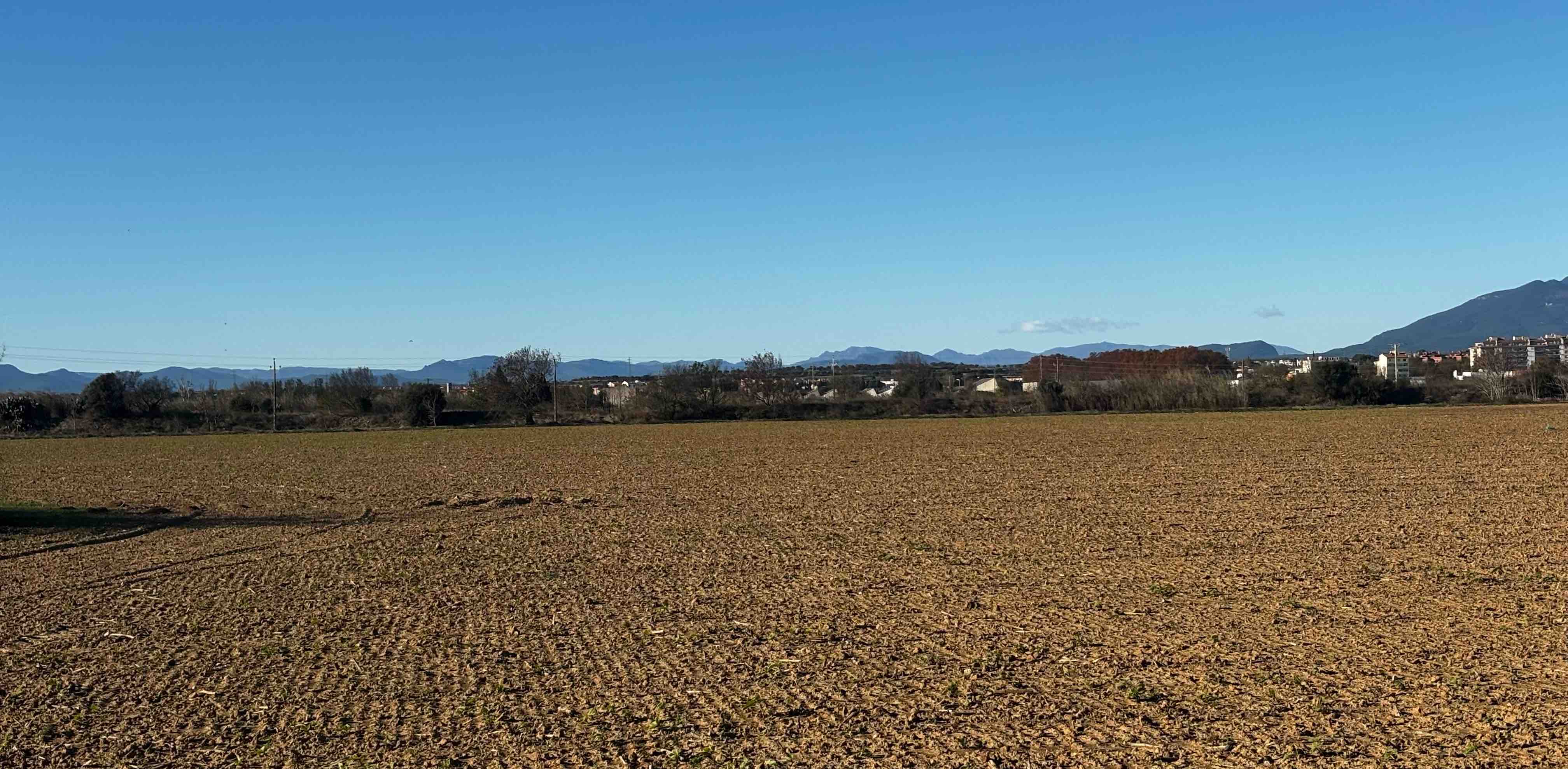 challenge background