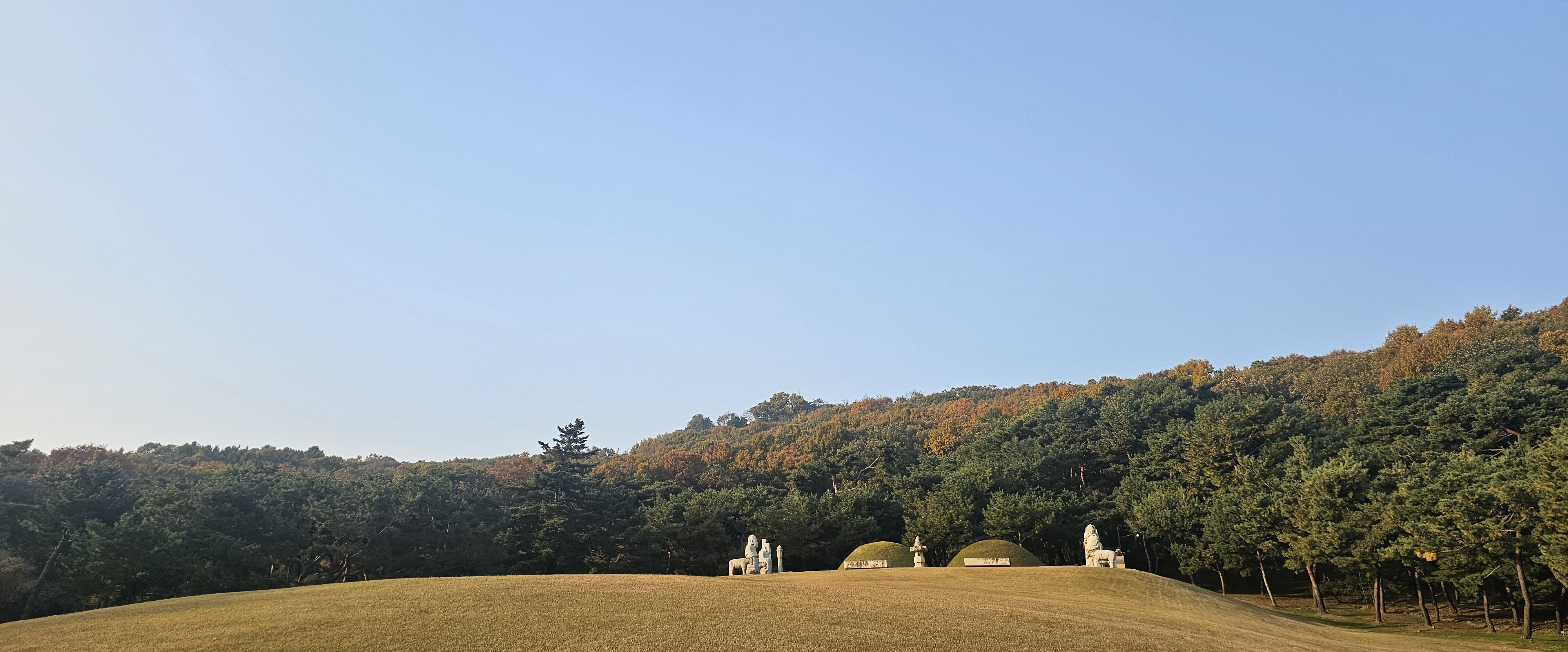 challenge background