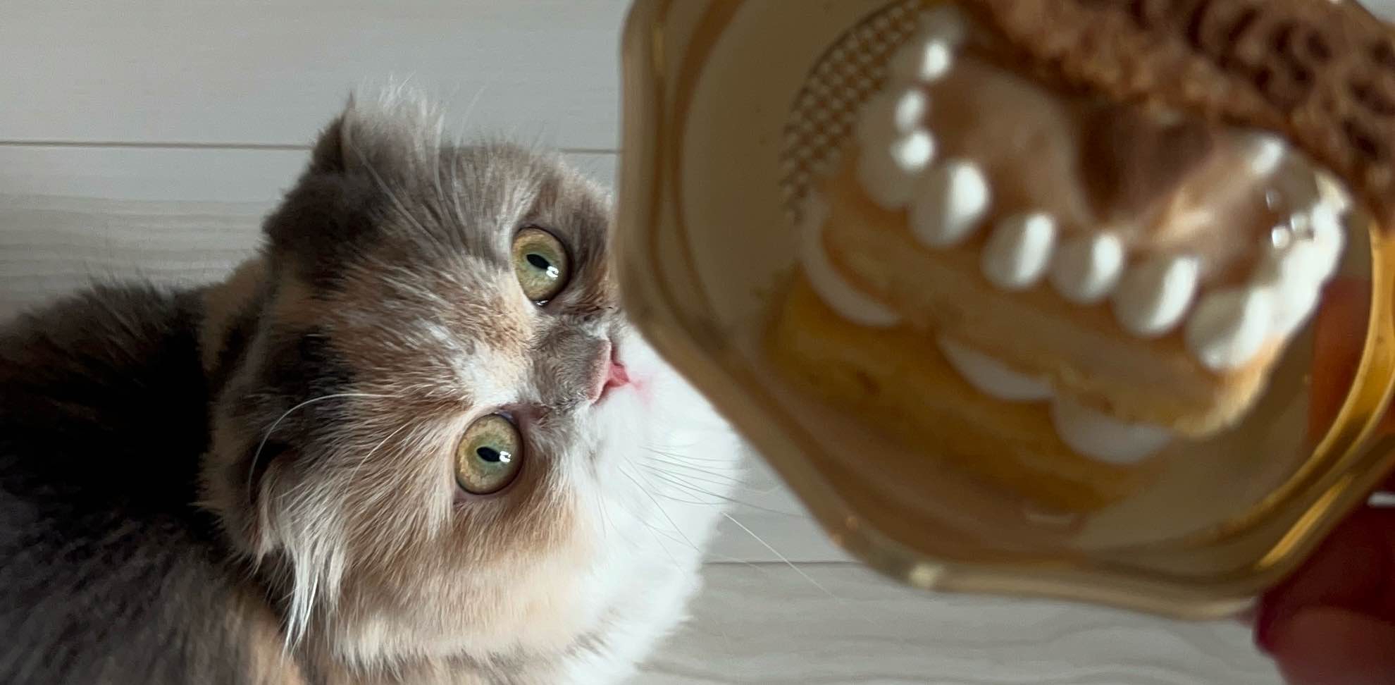 challenge background