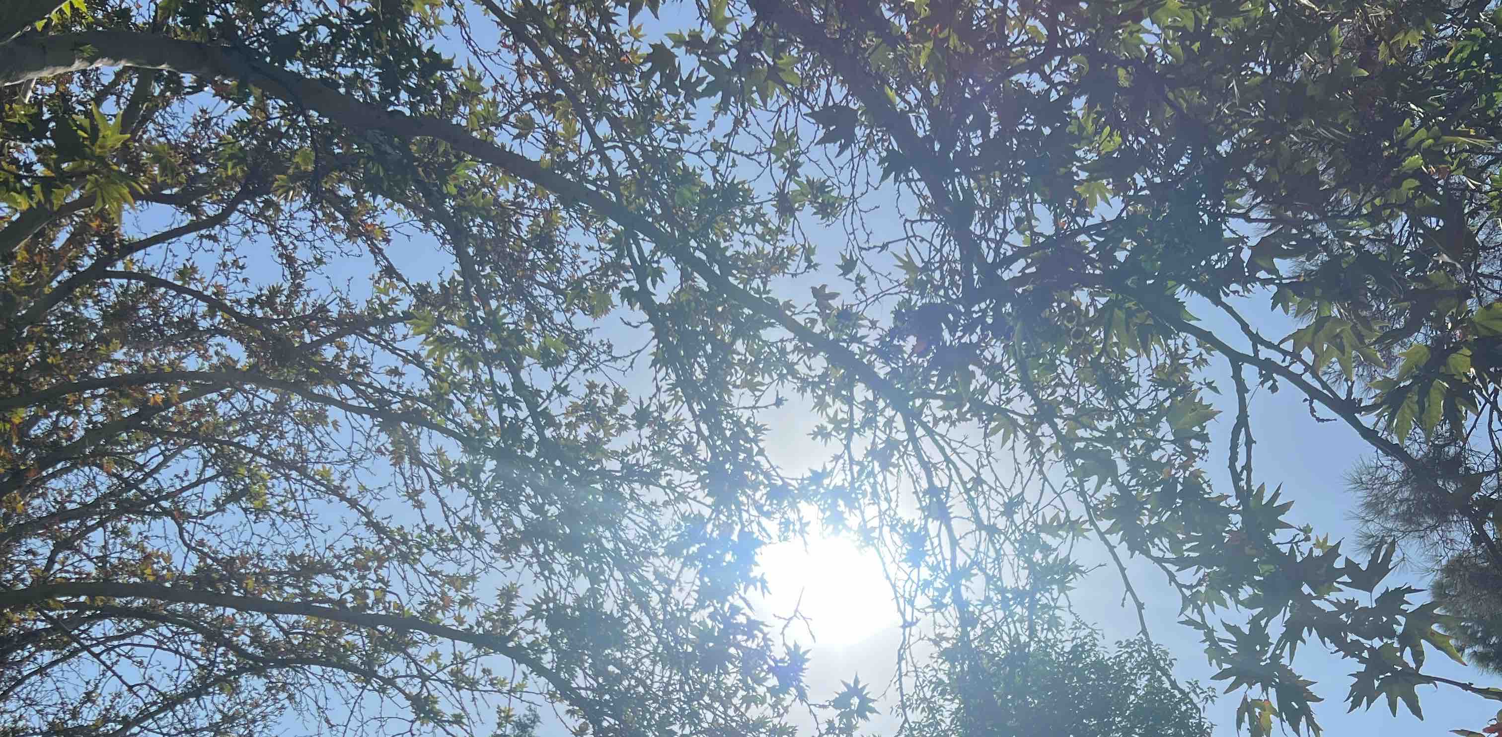 challenge background