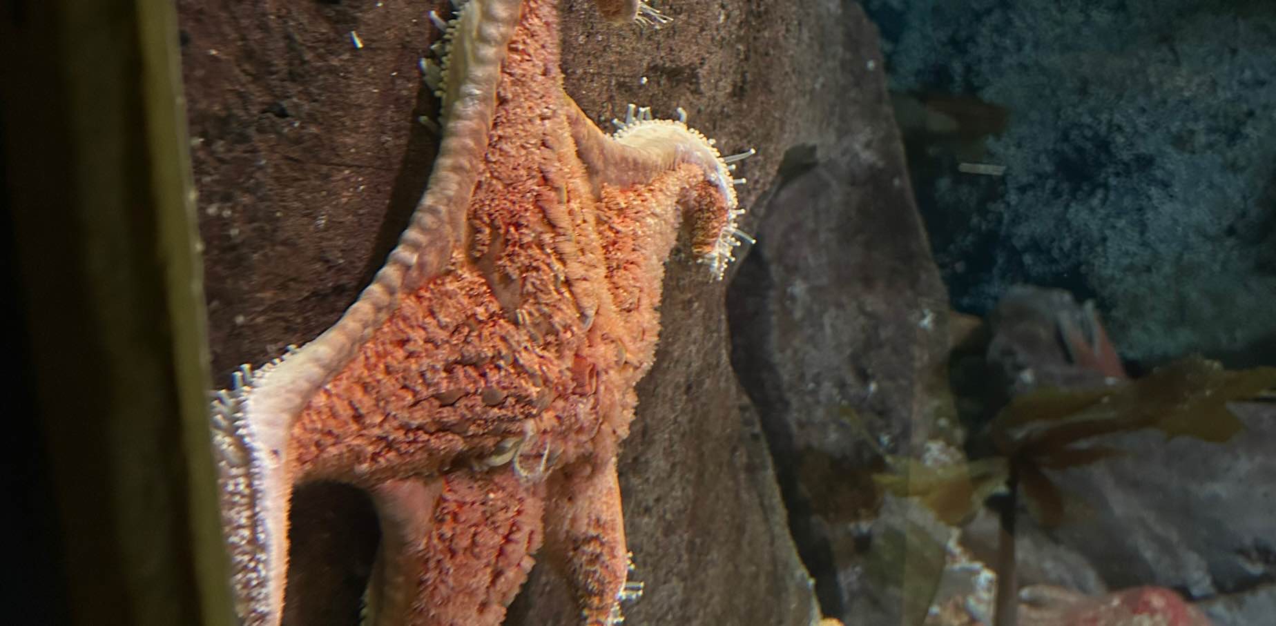 challenge background