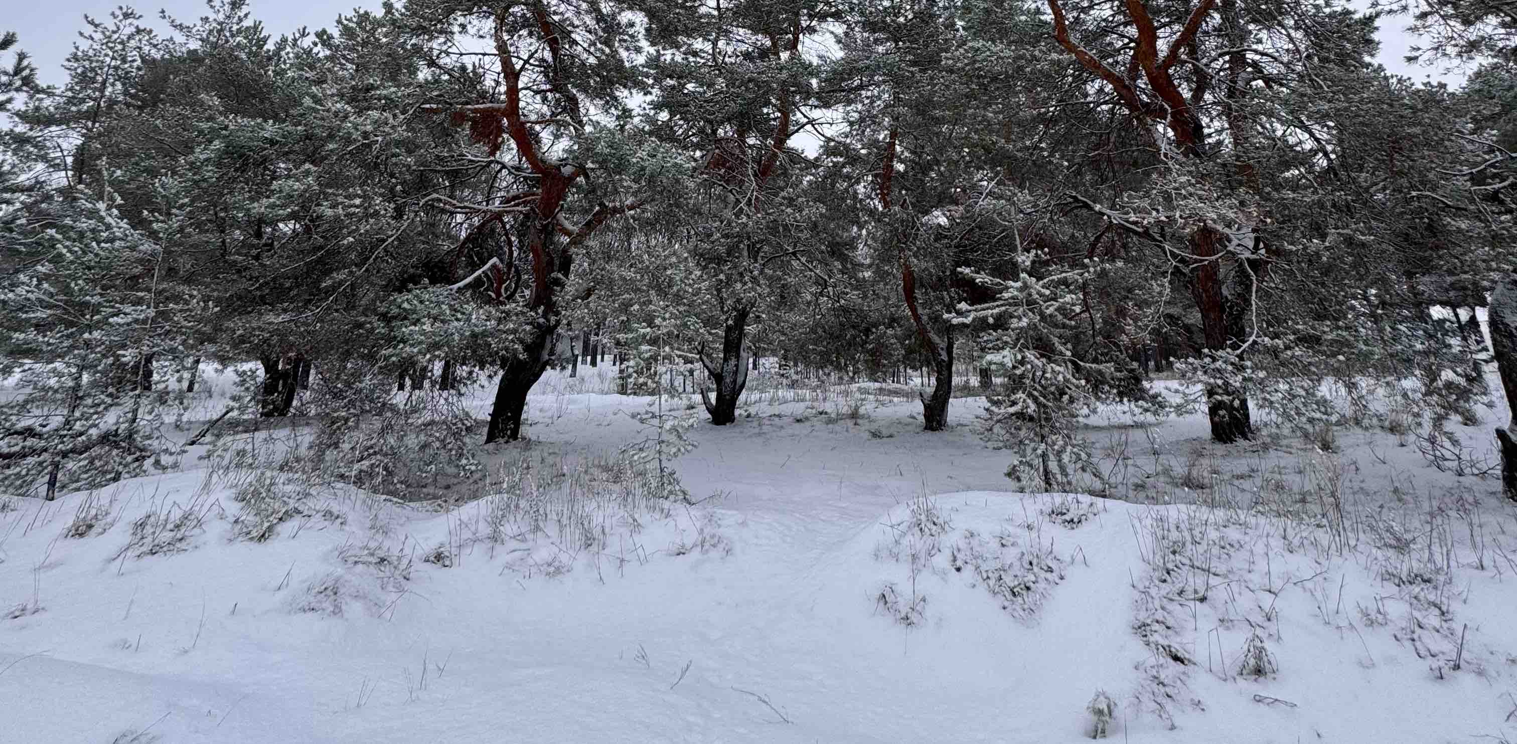 challenge background