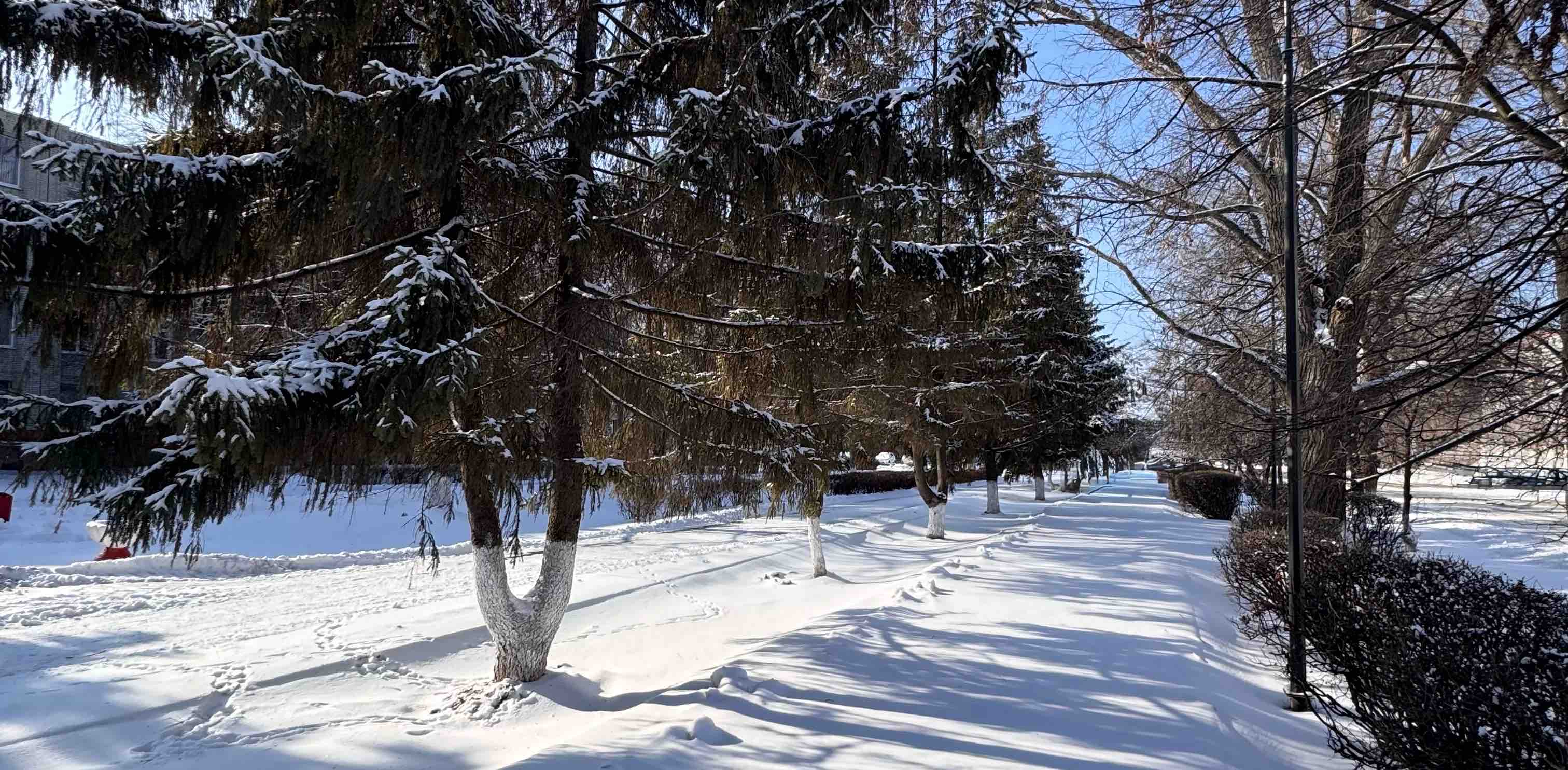 challenge background