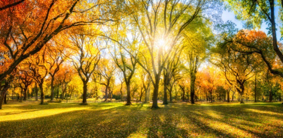 challenge background