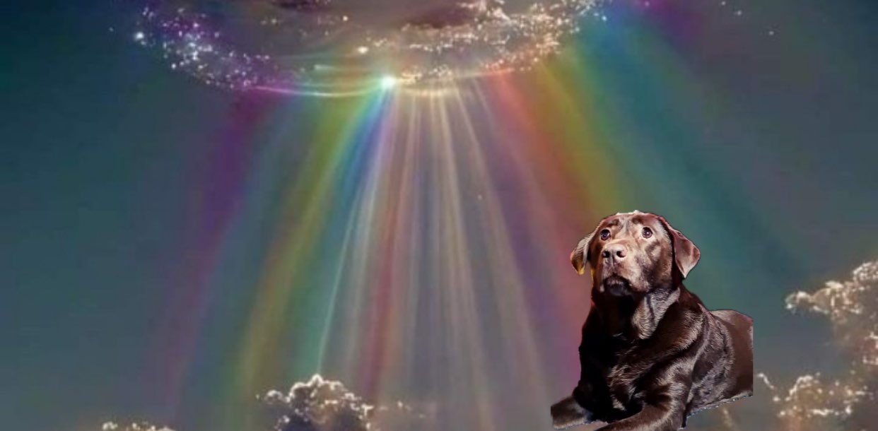 challenge background