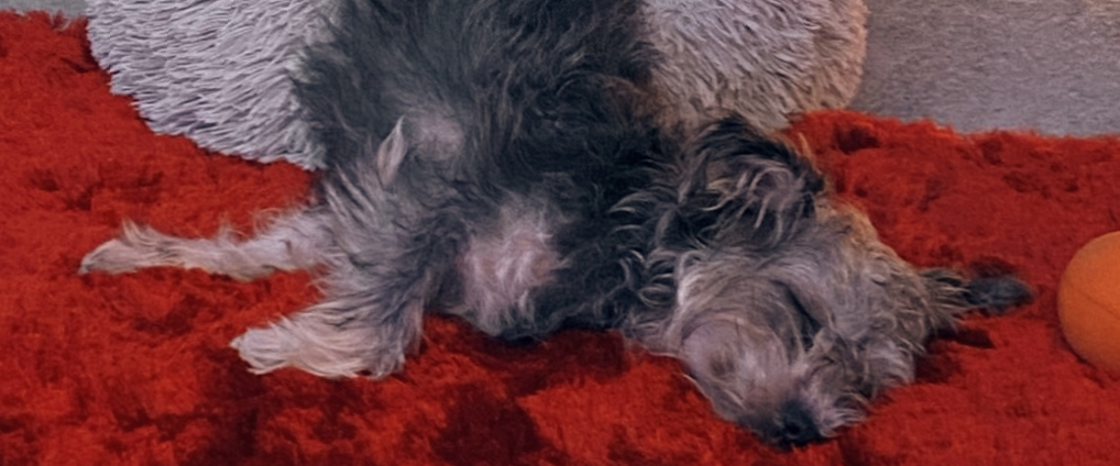 challenge background