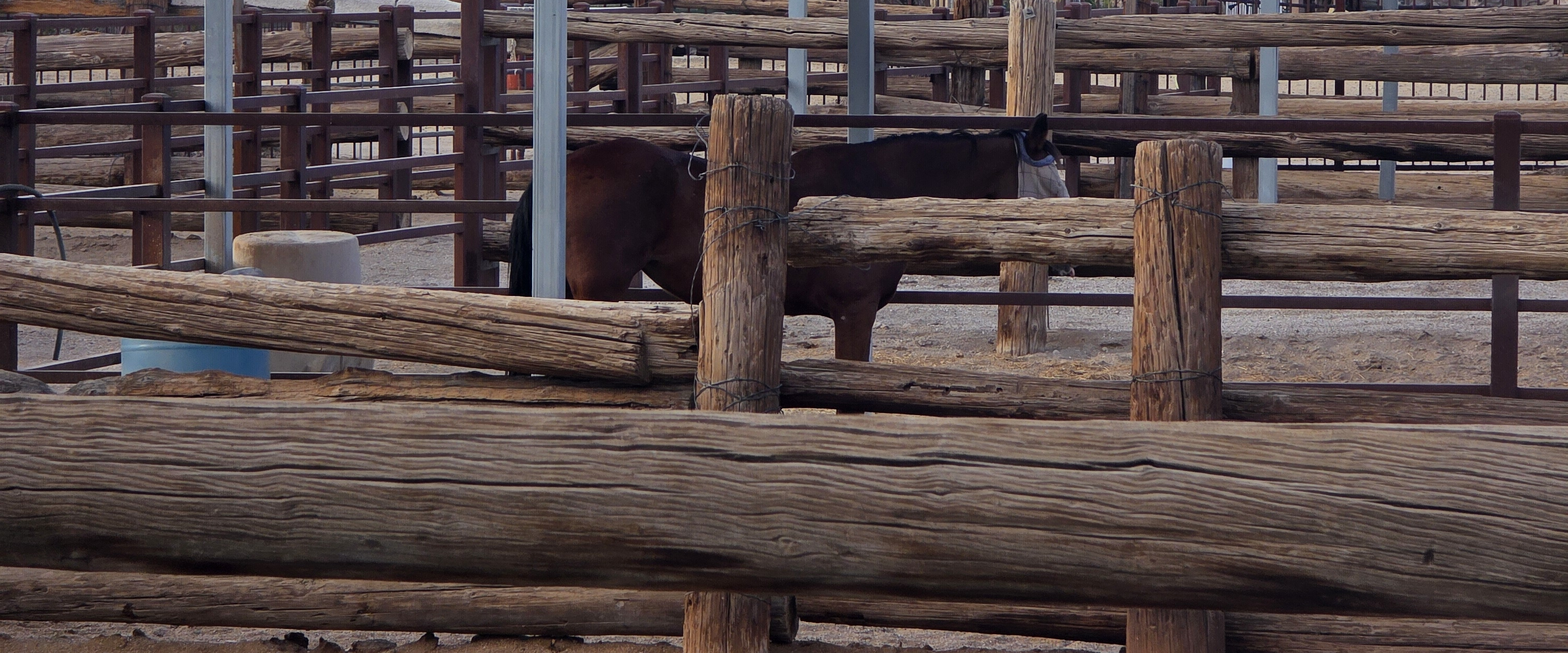 challenge background