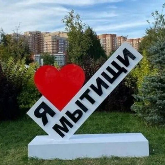 Мытищи идут! logo