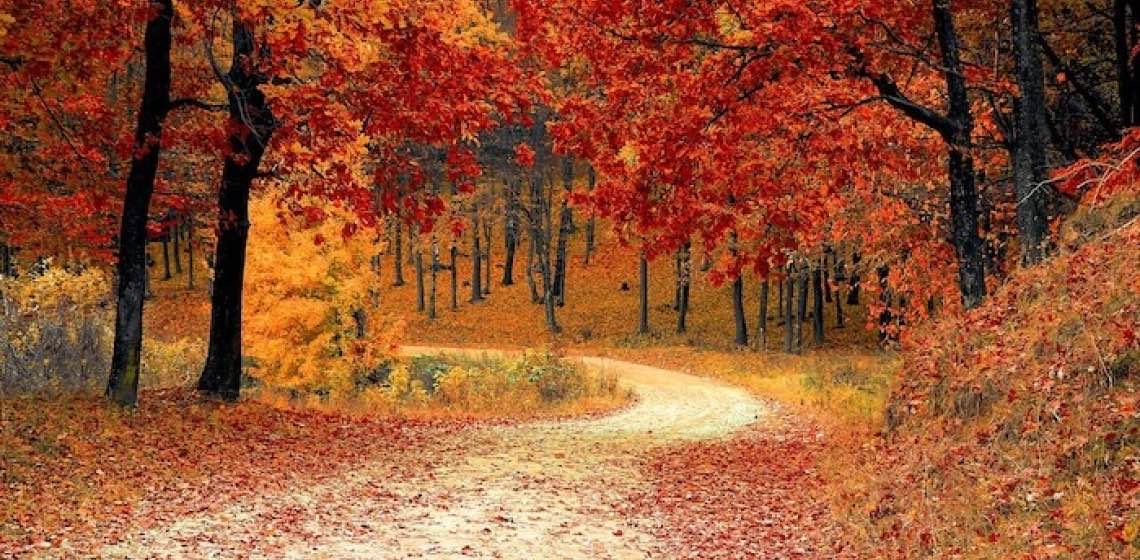 challenge background