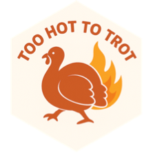 challenge badge