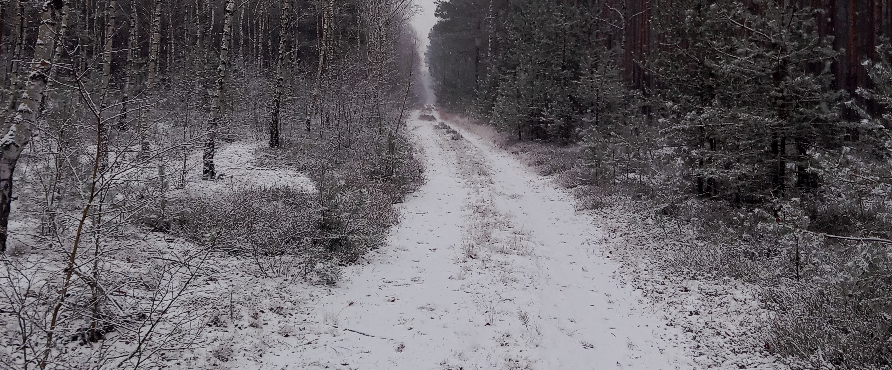 challenge background