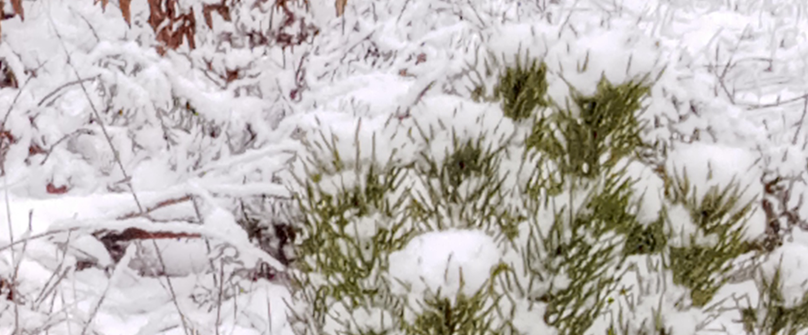 challenge background