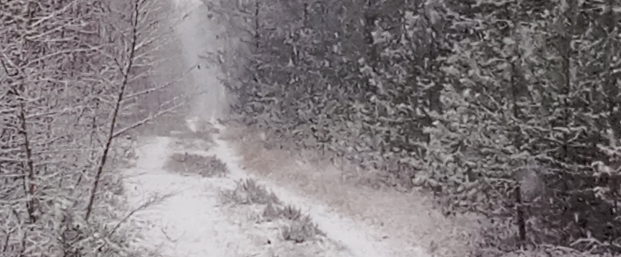 challenge background