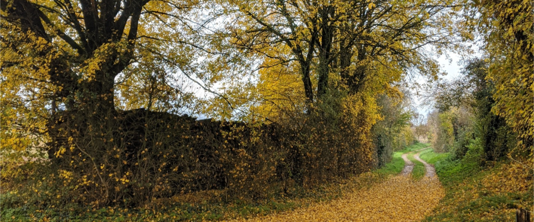 challenge background