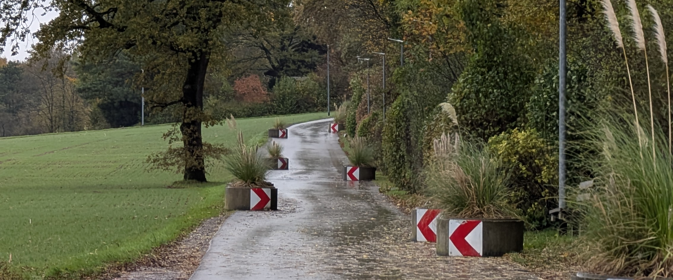 challenge background