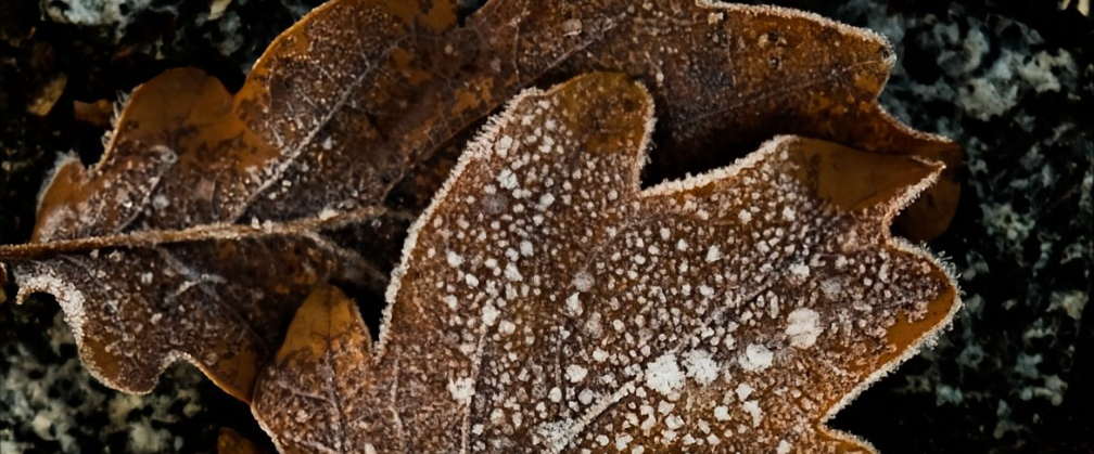 challenge background