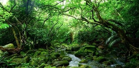 challenge background