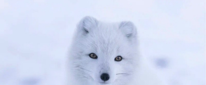 challenge background