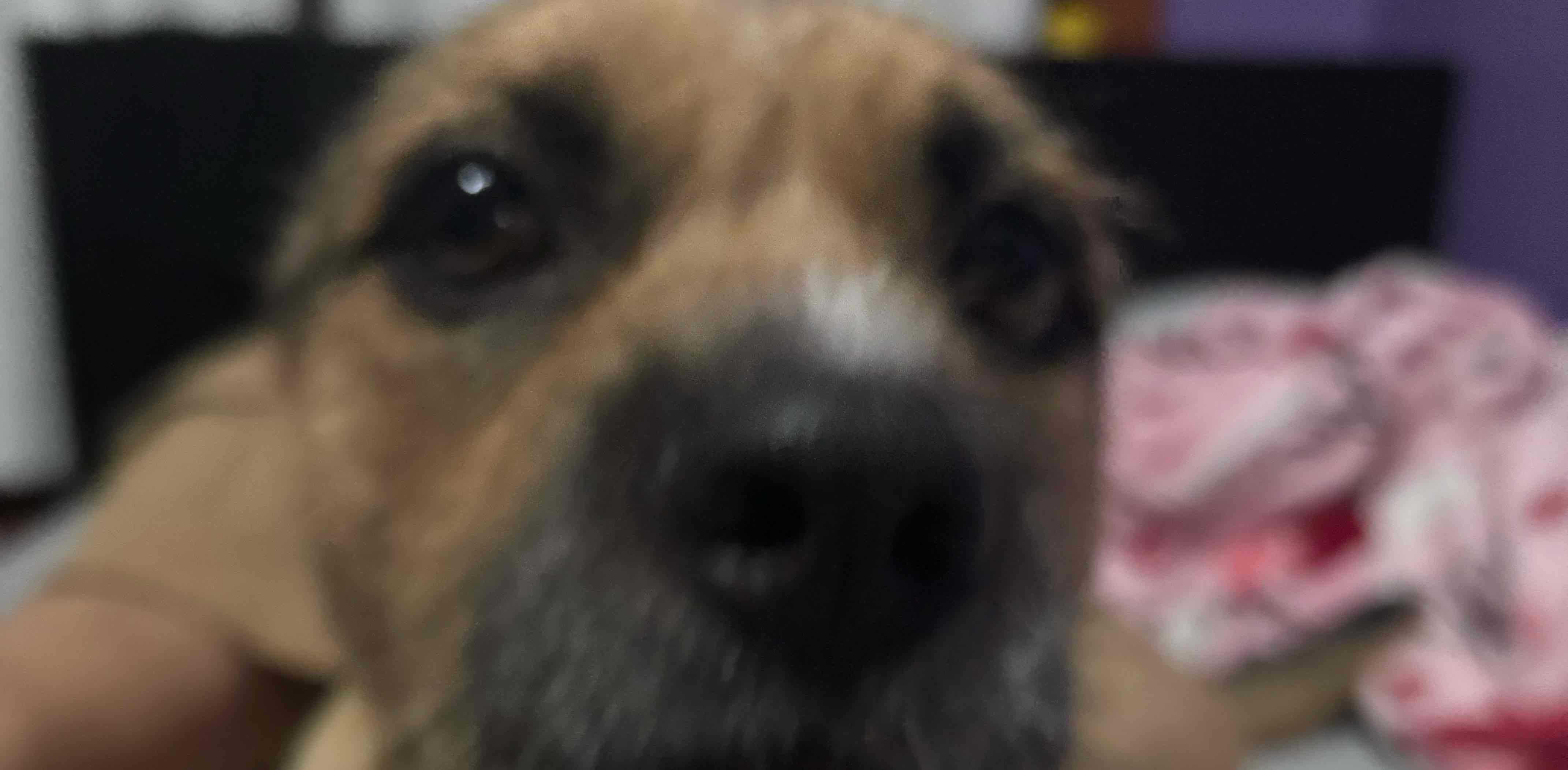 challenge background