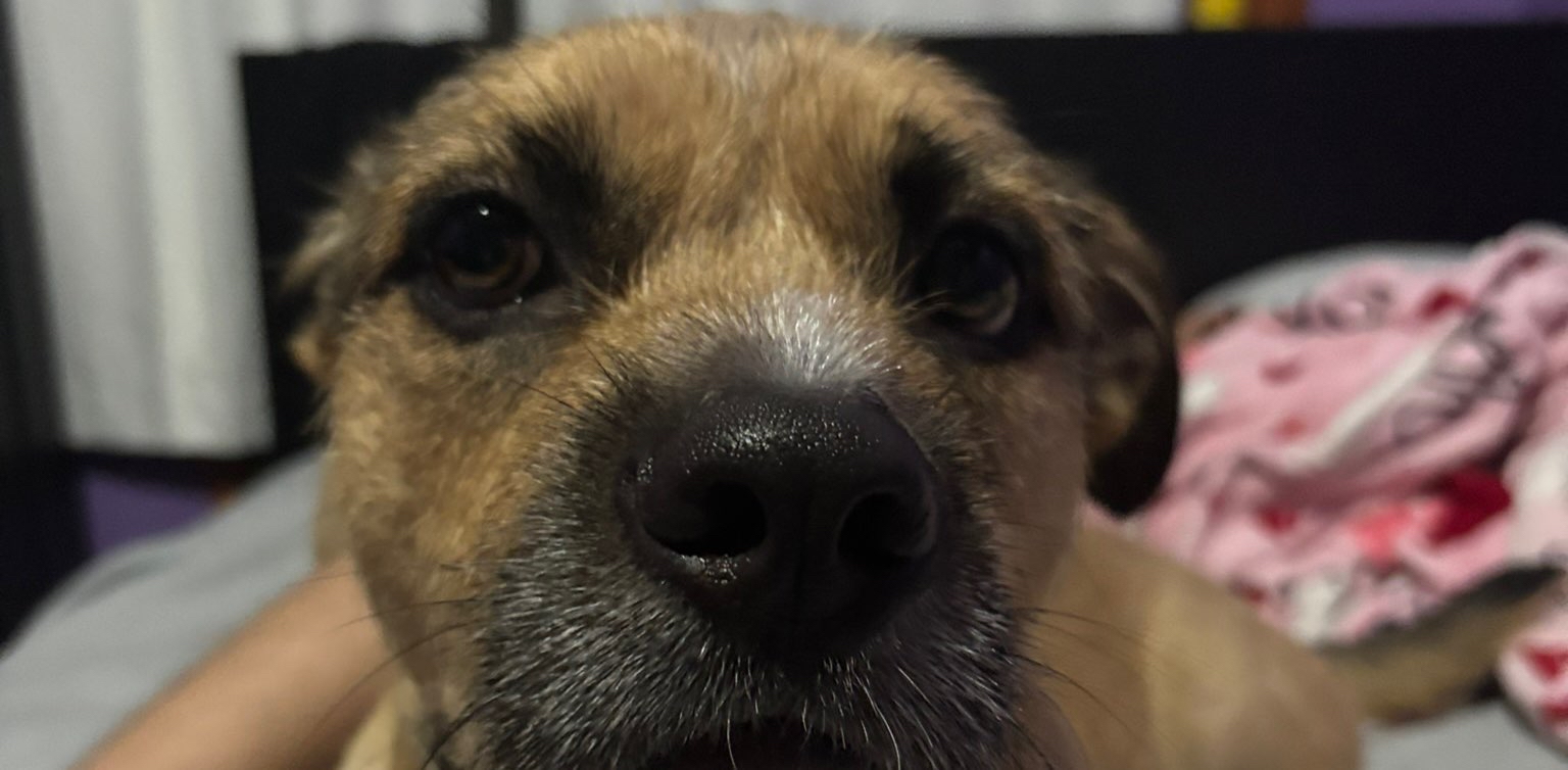 challenge background