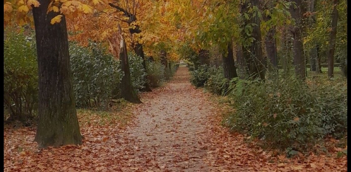 challenge background