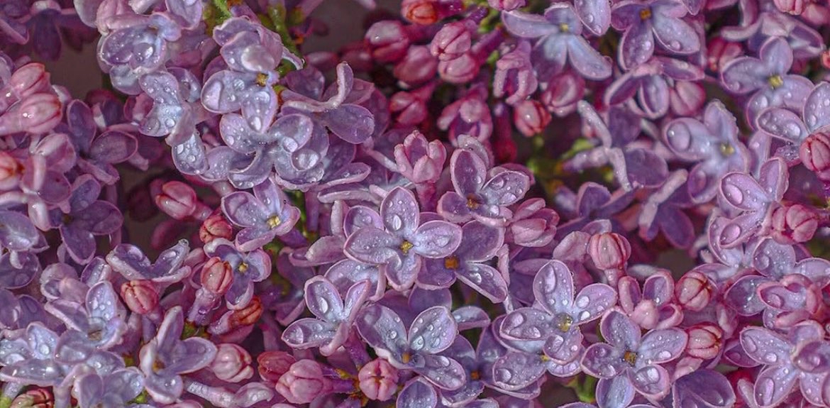 challenge background