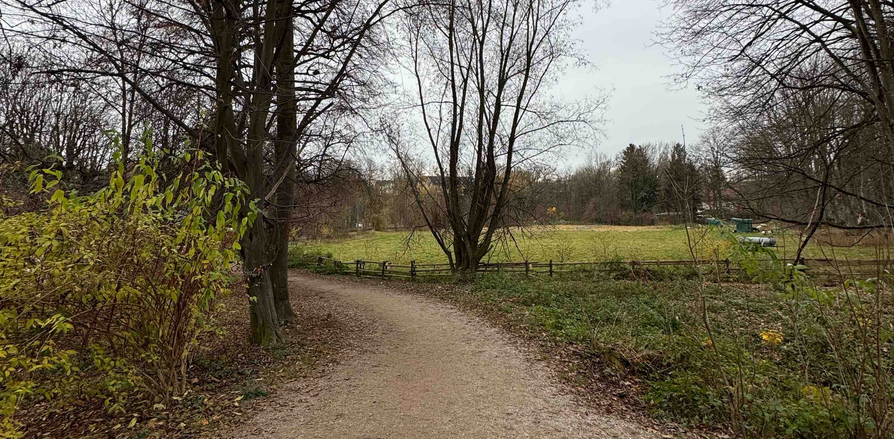 challenge background