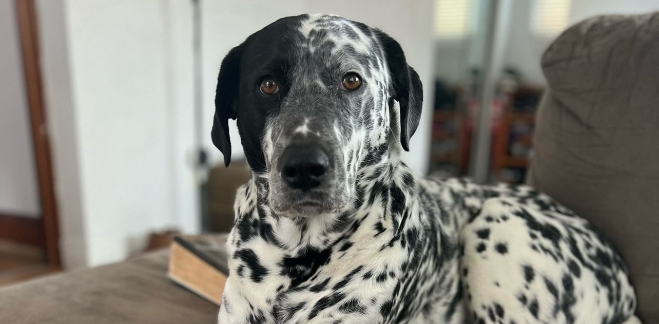 challenge background