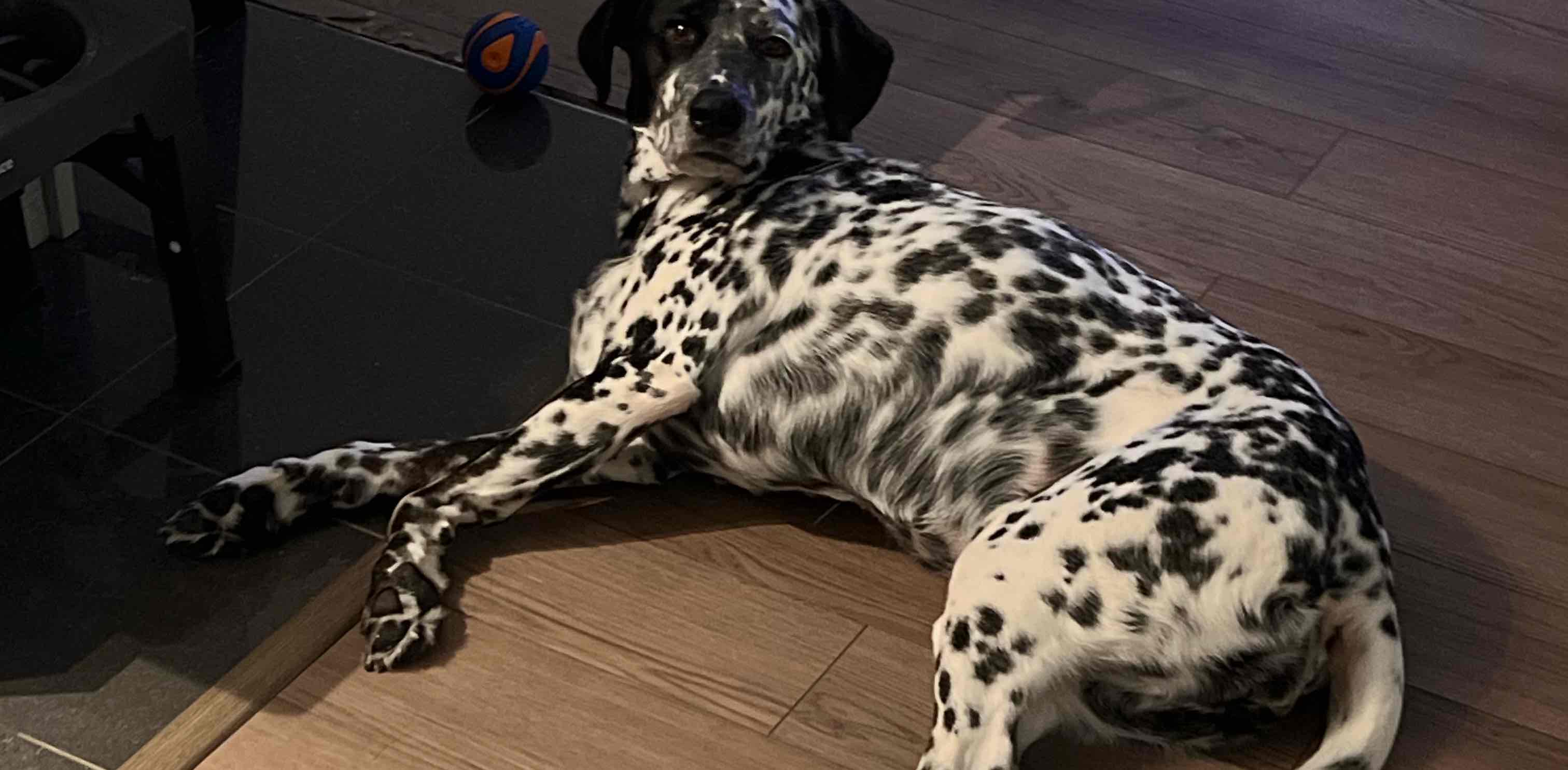 challenge background