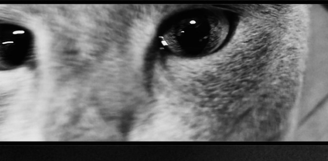 challenge background