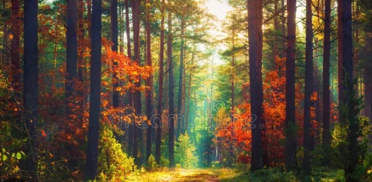 challenge background