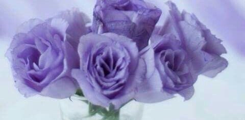 challenge background