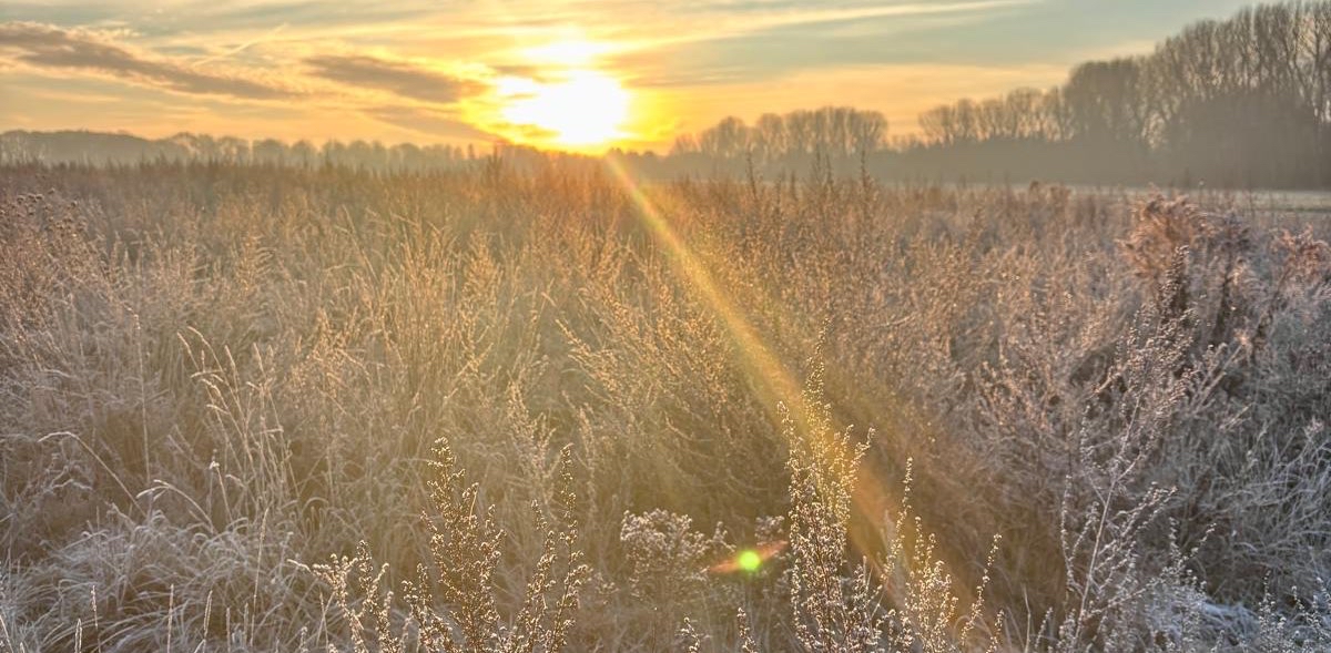 challenge background